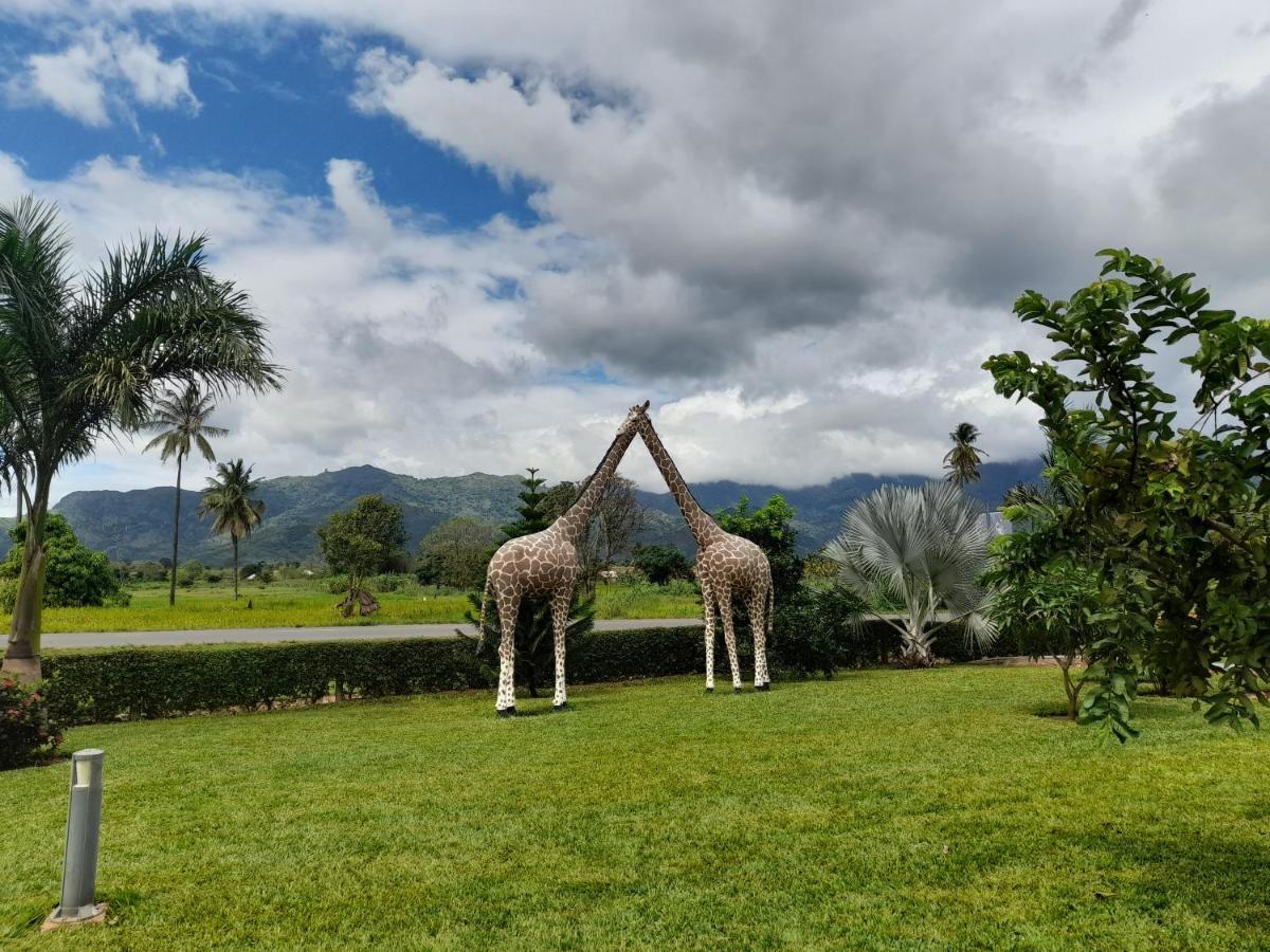 Cate Hotel Morogoro エクステリア 写真
